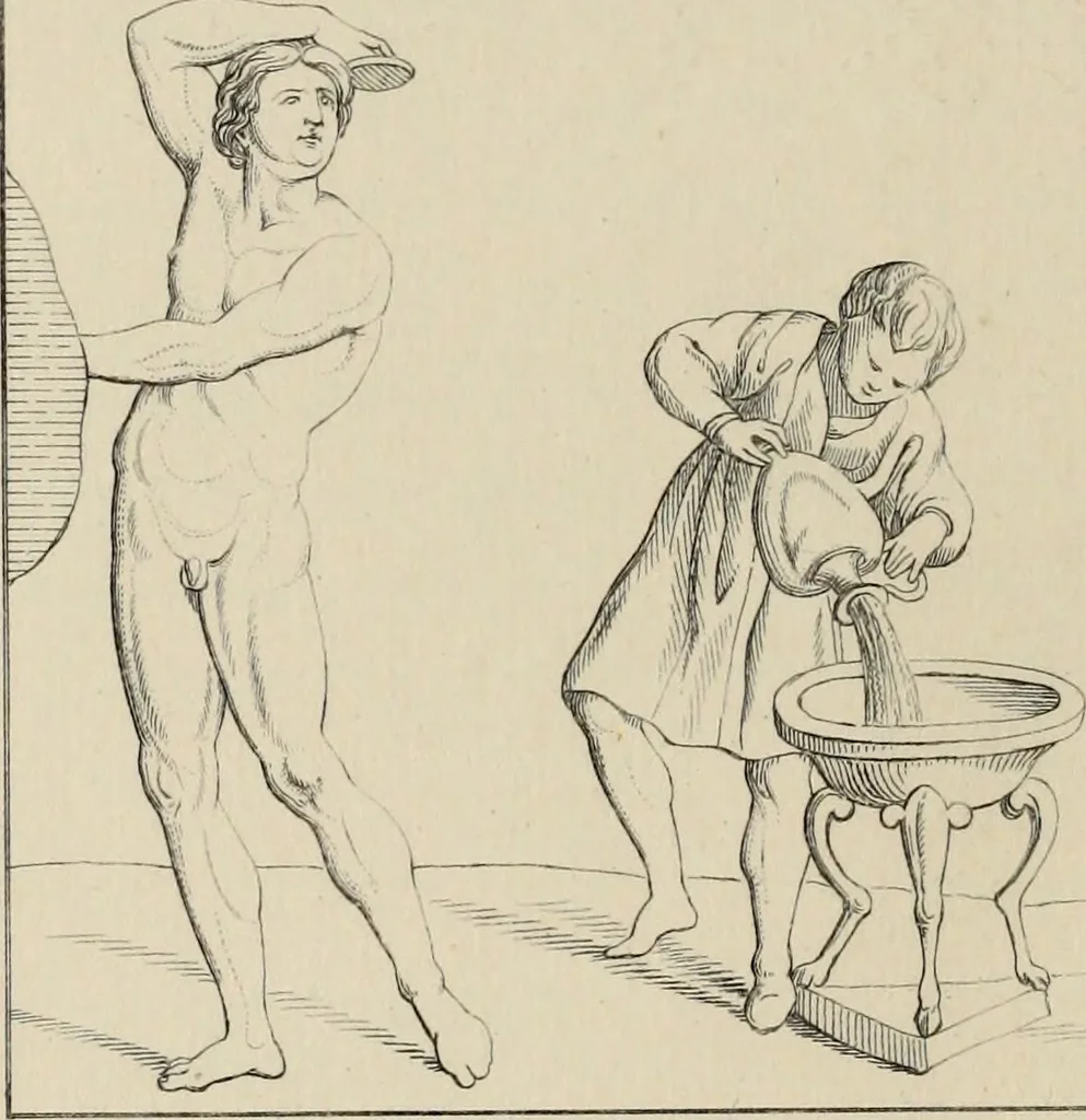 An illustration from Herculanum et Pompéi, recueil général des peintures, bronzes, mosaïques, etc., découverts jusqu'à ce jour, et reproduits d'apreès Le antichita di Ercolano, Il Museo borbonico, et tous les ouvrages analogues, 1870, leaf 223