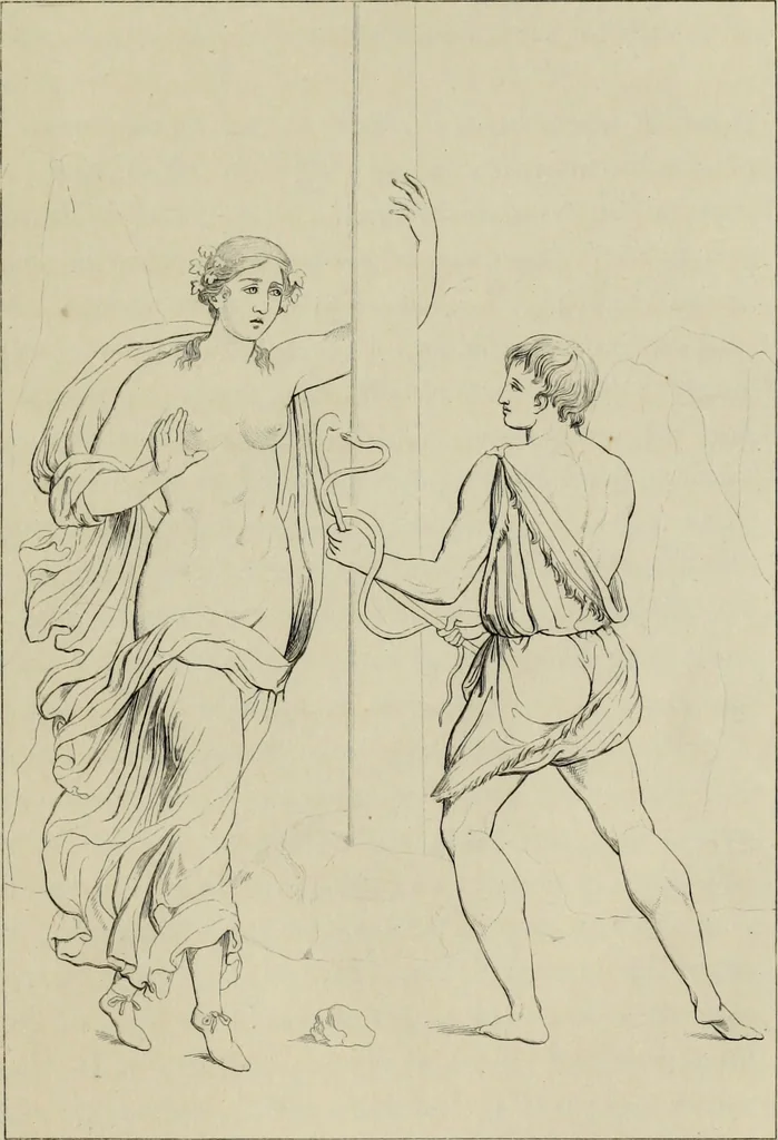 An illustration from Herculanum et Pompéi, recueil général des peintures, bronzes, mosaïques, etc., découverts jusqu'à ce jour, et reproduits d'apreès Le antichita di Ercolano, Il Museo borbonico, et tous les ouvrages analogues, 1870, leaf 50
