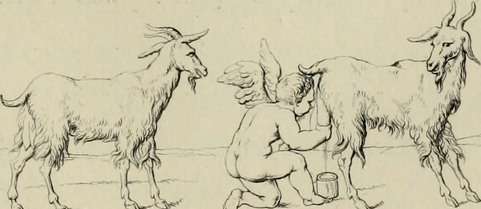 An illustration from Herculanum et Pompéi, recueil général des peintures, bronzes, mosaïques, etc., découverts jusqu'à ce jour, et reproduits d'apreès Le antichita di Ercolano, Il Museo borbonico, et tous les ouvrages analogues, 1870, leaf 94