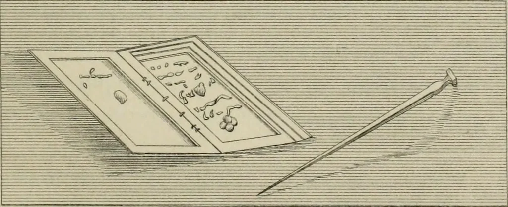 An illustration from Herculanum et Pompéi, recueil général des peintures, bronzes, mosaïques, etc., découverts jusqu'à ce jour, et reproduits d'apreès Le antichita di Ercolano, Il Museo borbonico, et tous les ouvrages analogues, 1870, leaf 134