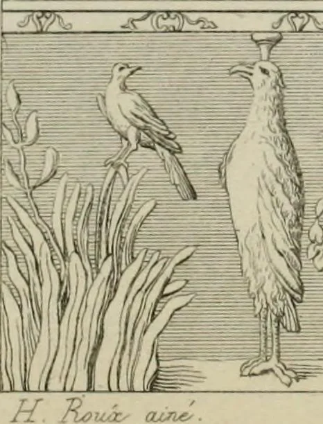 An illustration from Herculanum et Pompéi, recueil général des peintures, bronzes, mosaïques, etc., découverts jusqu'à ce jour, et reproduits d'apreès Le antichita di Ercolano, Il Museo borbonico, et tous les ouvrages analogues, 1870, leaf 14