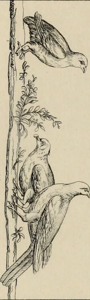 An illustration from Herculanum et Pompéi, recueil général des peintures, bronzes, mosaïques, etc., découverts jusqu'à ce jour, et reproduits d'apreès Le antichita di Ercolano, Il Museo borbonico, et tous les ouvrages analogues, 1870, leaf 143