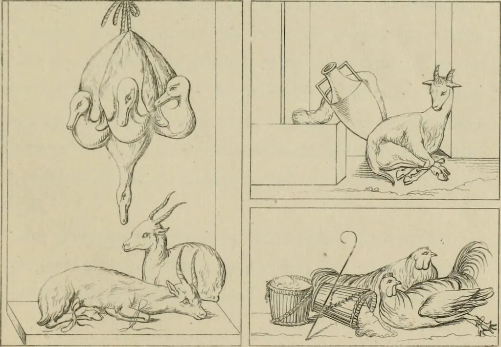 An illustration from Herculanum et Pompéi, recueil général des peintures, bronzes, mosaïques, etc., découverts jusqu'à ce jour, et reproduits d'apreès Le antichita di Ercolano, Il Museo borbonico, et tous les ouvrages analogues, 1870, leaf 200