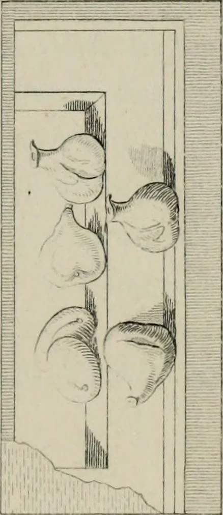 An illustration from Herculanum et Pompéi, recueil général des peintures, bronzes, mosaïques, etc., découverts jusqu'à ce jour, et reproduits d'apreès Le antichita di Ercolano, Il Museo borbonico, et tous les ouvrages analogues, 1870, leaf 26