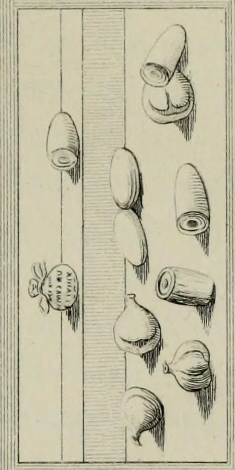 An illustration from Herculanum et Pompéi, recueil général des peintures, bronzes, mosaïques, etc., découverts jusqu'à ce jour, et reproduits d'apreès Le antichita di Ercolano, Il Museo borbonico, et tous les ouvrages analogues, 1870, leaf 26