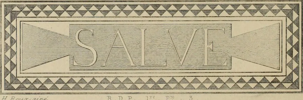 An illustration from Herculanum et Pompéi, recueil général des peintures, bronzes, mosaïques, etc., découverts jusqu'à ce jour, et reproduits d'apreès Le antichita di Ercolano, Il Museo borbonico, et tous les ouvrages analogues, 1870, leaf 299