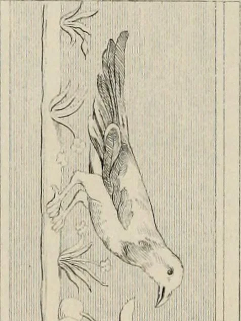 An illustration from Herculanum et Pompéi, recueil général des peintures, bronzes, mosaïques, etc., découverts jusqu'à ce jour, et reproduits d'apreès Le antichita di Ercolano, Il Museo borbonico, et tous les ouvrages analogues, 1870, leaf 41
