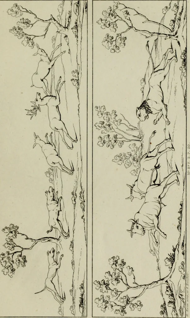 An illustration from Herculanum et Pompéi, recueil général des peintures, bronzes, mosaïques, etc., découverts jusqu'à ce jour, et reproduits d'apreès Le antichita di Ercolano, Il Museo borbonico, et tous les ouvrages analogues, 1870, leaf 82