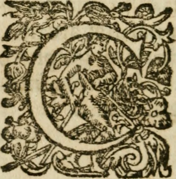 An illustration from Hercules piochymicus, 1634, leaf 115