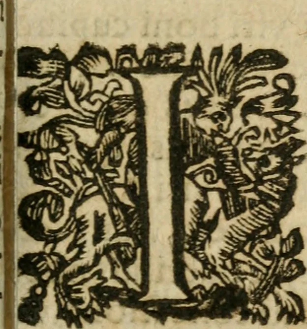 An illustration from Hercules piochymicus, 1634, leaf 120