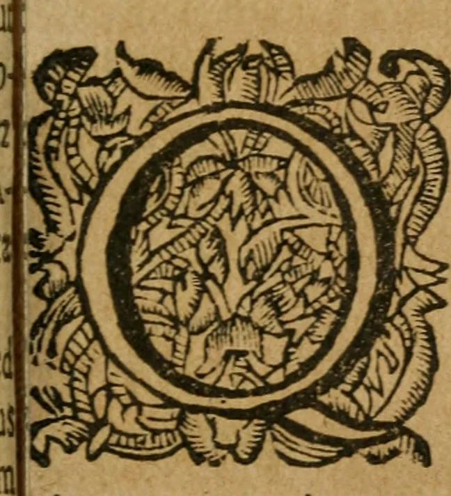 An illustration from Hercules piochymicus, 1634, leaf 142