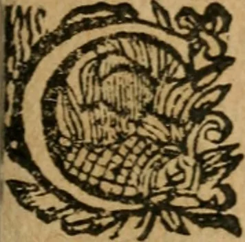 An illustration from Hercules piochymicus, 1634, leaf 152
