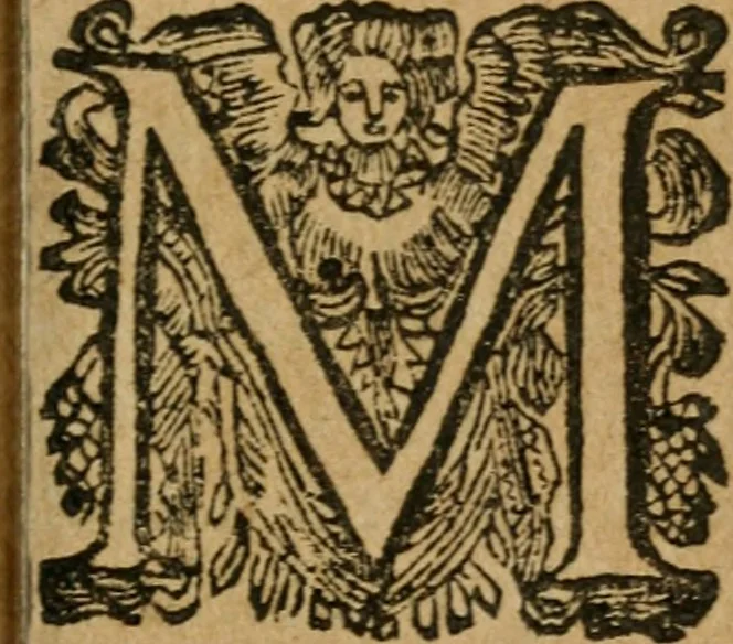 An illustration from Hercules piochymicus, 1634, leaf 162