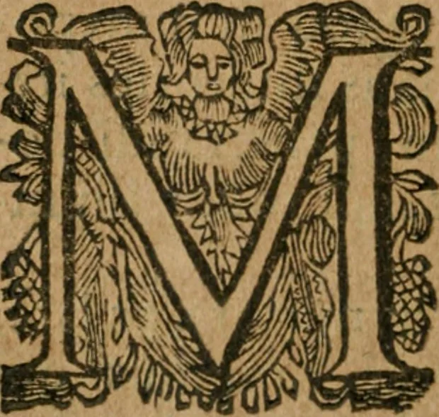 An illustration from Hercules piochymicus, 1634, leaf 169