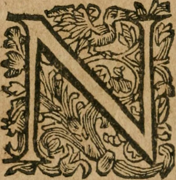 An illustration from Hercules piochymicus, 1634, leaf 175