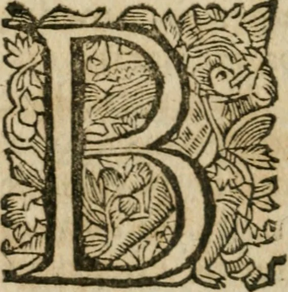 An illustration from Hercules piochymicus, 1634, leaf 187