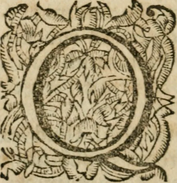 An illustration from Hercules piochymicus, 1634, leaf 191