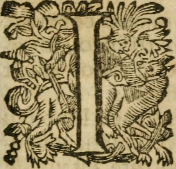 An illustration from Hercules piochymicus, 1634, leaf 194