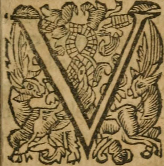 An illustration from Hercules piochymicus, 1634, leaf 204
