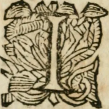 An illustration from Hercules piochymicus, 1634, leaf 29