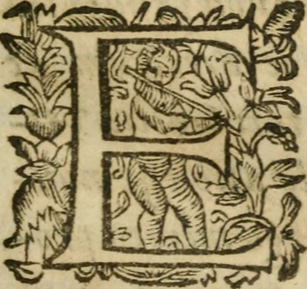 An illustration from Hercules piochymicus, 1634, leaf 8