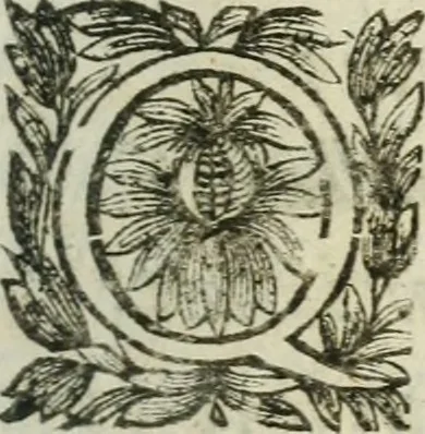 An illustration from Hercvle Fvrievx : tragedie, 1639, leaf 102