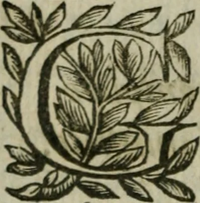 An illustration from Hercvle Fvrievx : tragedie, 1639, leaf 33