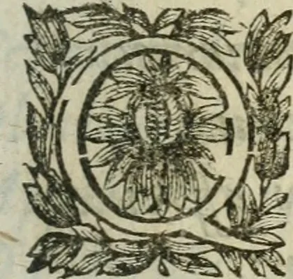 An illustration from Hercvle Fvrievx : tragedie, 1639, leaf 42