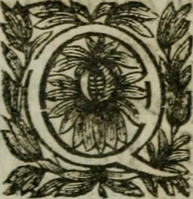 An illustration from Hercvle Fvrievx : tragedie, 1639, leaf 59