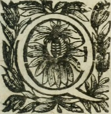 An illustration from Hercvle Fvrievx : tragedie, 1639, leaf 80