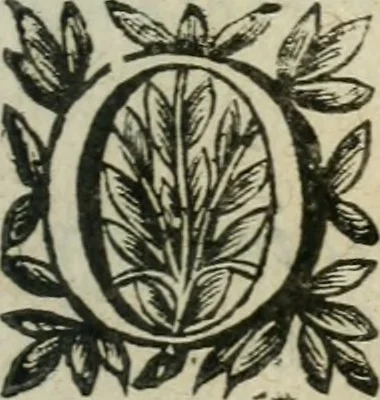 An illustration from Hercvle Fvrievx : tragedie, 1639, leaf 88