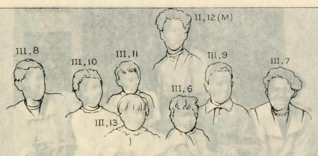 An illustration from Heredity of skin color in negro-white crosses, 1913, leaf 117