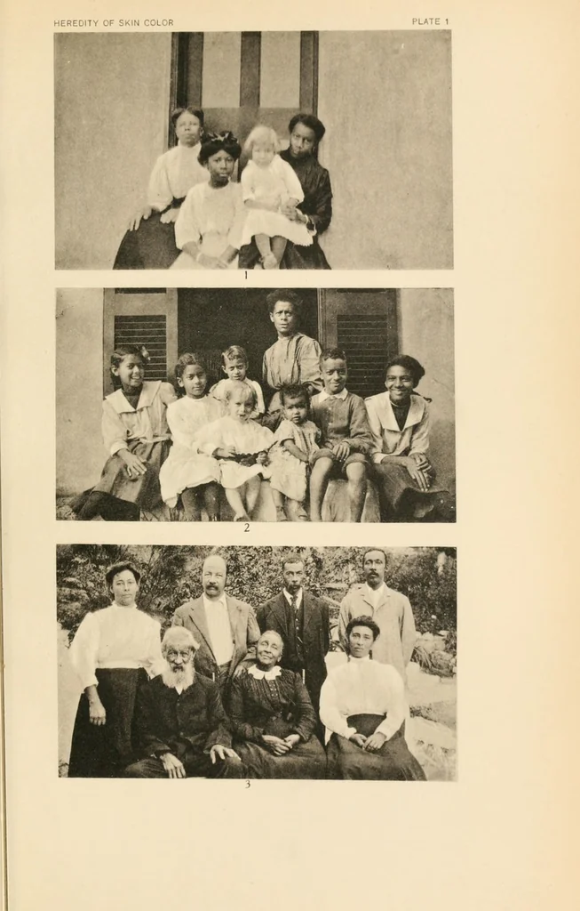 An illustration from Heredity of skin color in negro-white crosses, 1913, leaf 119