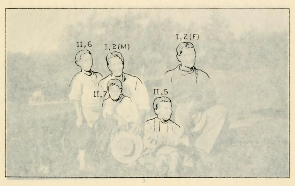 An illustration from Heredity of skin color in negro-white crosses, 1913, leaf 123