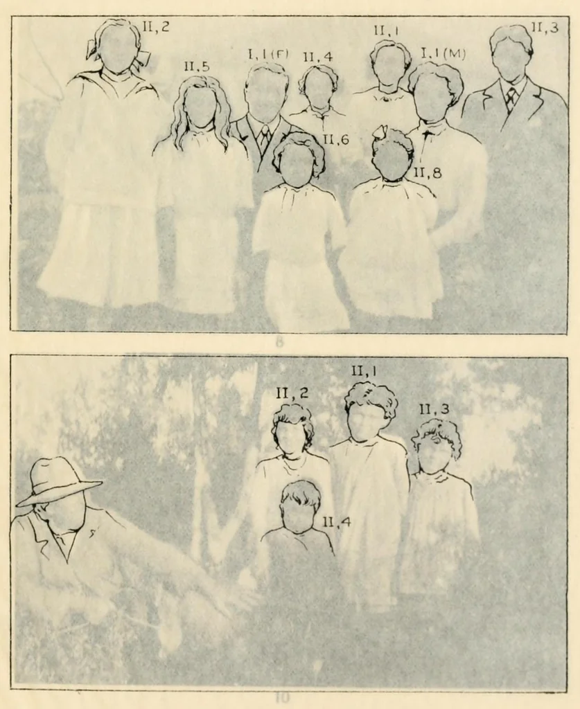 An illustration from Heredity of skin color in negro-white crosses, 1913, leaf 129
