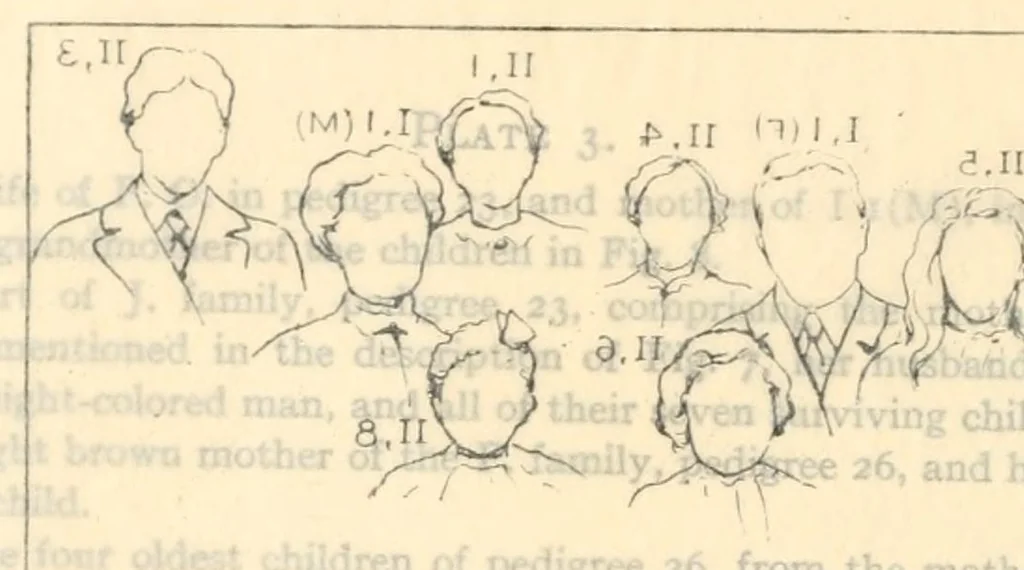 An illustration from Heredity of skin color in negro-white crosses, 1913, leaf 130