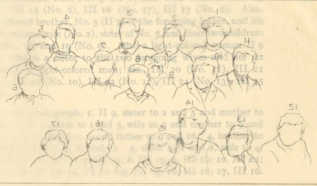 An illustration from Heredity of skin color in negro-white crosses, 1913, leaf 136