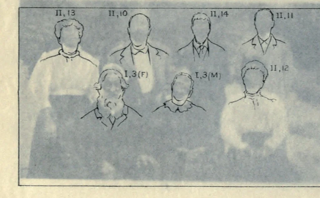 An illustration from Heredity of skin color in negro-white crosses. With appendix, being abridgement of field-notes, chiefly of Florence H. Danielson, 1913, leaf 117