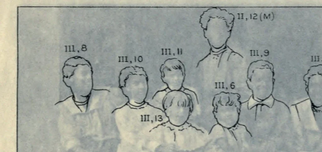 An illustration from Heredity of skin color in negro-white crosses. With appendix, being abridgement of field-notes, chiefly of Florence H. Danielson, 1913, leaf 117