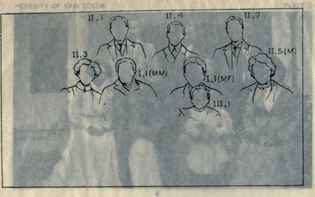An illustration from Heredity of skin color in negro-white crosses. With appendix, being abridgement of field-notes, chiefly of Florence H. Danielson, 1913, leaf 123