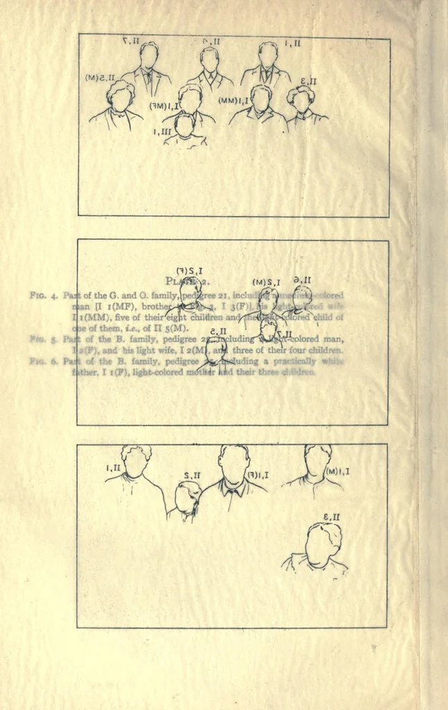 An illustration from Heredity of skin color in negro-white crosses. With appendix, being abridgement of field-notes, chiefly of Florence H. Danielson, 1913, leaf 124