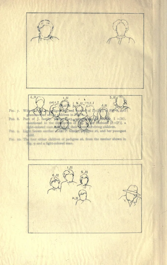 An illustration from Heredity of skin color in negro-white crosses. With appendix, being abridgement of field-notes, chiefly of Florence H. Danielson, 1913, leaf 130