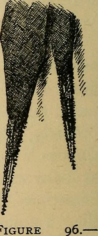 An illustration from The heritage of dress; being notes on the history and evolution of clothes, 1912, leaf 110