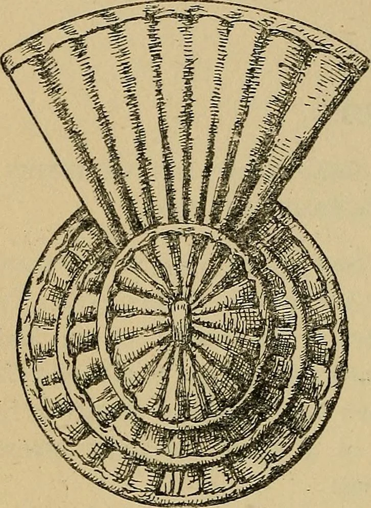 An illustration from The heritage of dress; being notes on the history and evolution of clothes, 1912, leaf 154