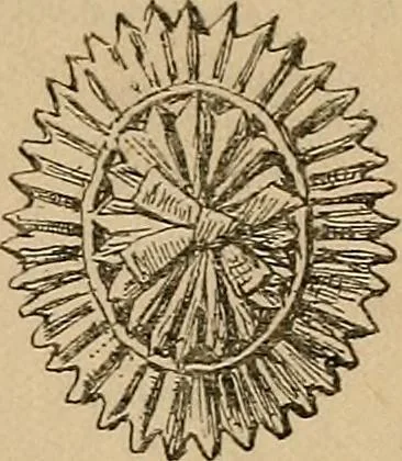 An illustration from The heritage of dress; being notes on the history and evolution of clothes, 1912, leaf 155