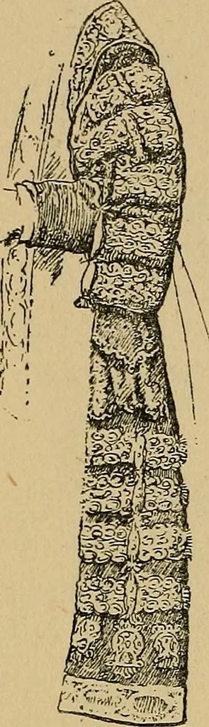 An illustration from The heritage of dress; being notes on the history and evolution of clothes, 1912, leaf 202