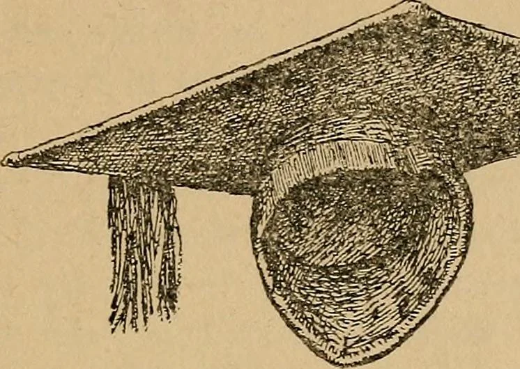 An illustration from The heritage of dress; being notes on the history and evolution of clothes, 1912, leaf 203