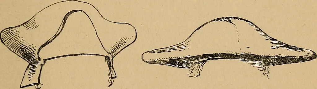 An illustration from The heritage of dress; being notes on the history and evolution of clothes, 1912, leaf 203