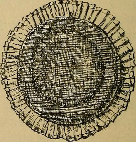 An illustration from The heritage of dress; being notes on the history and evolution of clothes, 1912, leaf 206