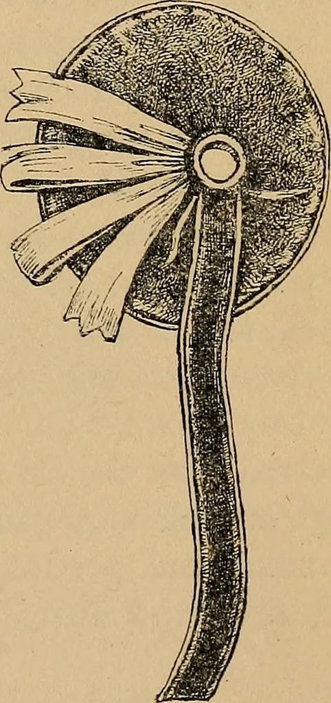 An illustration from The heritage of dress; being notes on the history and evolution of clothes, 1912, leaf 215